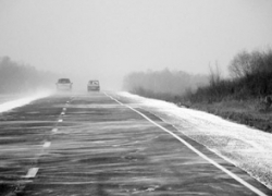 Между Камышином и Волгоградом столкнулись иномарки 29-летних водителей, пострадала женщина