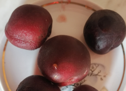 Камышанин похвалился оригинальными сочными плодами черного абрикоса