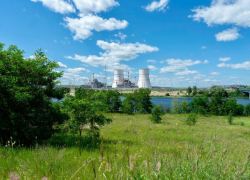 Нужно 100-тысячное войско: полковник СБУ опрокинул украинский «план» по захвату Курской АЭС