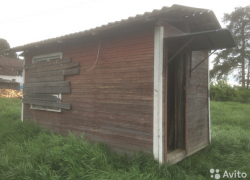 Две криминальные истории с хранением наркотиков расследуют камышинские полицейские