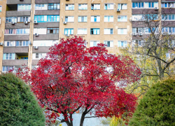 В Камышине энергетики дали камышанам "передохнуть" с отключениями света и завтра, 5 ноября, начинают их вновь