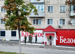 Алкомаркеты «Красное&Белое» проверят в Волгоградской области из-за дешевого алкоголя 