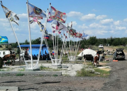 На воинском участке муниципального кладбища в Камышине родные погибших бойцов обнаружили в День России коров, "раскидывающих мордами цветы"