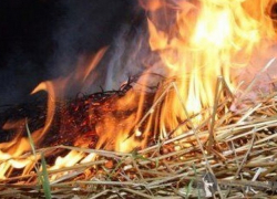 В Камышине сгорело 10 тонн сена