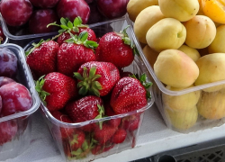 В Камышине местная клубника на финише продаж обогнала в цене привозные нектарины и абрикосы