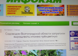 Камышинский сайт "Инфокам" перепугал камышан запрещенным цветком, из-за которого можно пойти в тюрьму