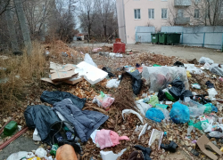 Определились, кто будет нормально вывозить мусор в Камышине, или нет? - камышанка