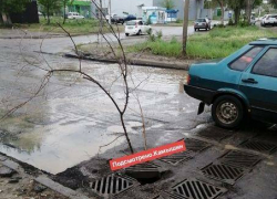 Дорогие власти нашего города, нам так и ездить под знак "ветка"? - камышанин