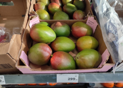 В Камышине продают зеленые плоды манго по 300 рублей за килограмм