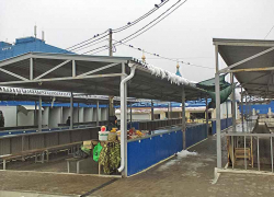 Продавцов с домашними овощами полностью изжили с центрального рынка в Камышине, а жаль, - камышанка