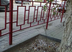 В Камышине на улице Ленина приствольные круги используются под урны? - камышанин