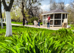 Короткая рабочая неделя началась у камышан