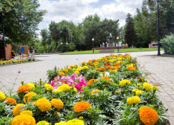 Камышанам пообещали цветущий городской парк вне зависимости от планов его реновации