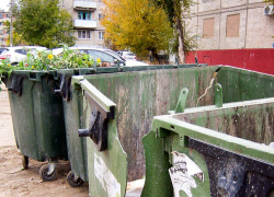 Администрация настаивает, чтобы камышане из частного сектора дружно выбрали способ вывоза мусора
