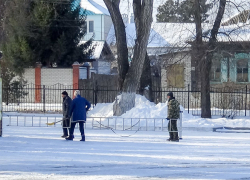 Потепление и мокрый снег накроют Камышин