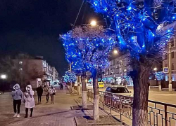 Количество камышан, подхвативших вирус, фиксируется десятками