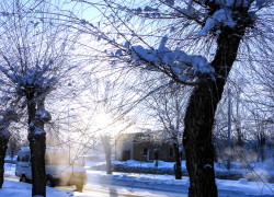 В Камышине морозы ослабеют в выходные и пойдет снег