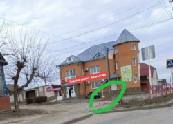 Камышане сфотографировали косулю, прогуливающуюся в новогодние дни по Камышину