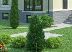 Отчим зарезал пасынка, поругавшись из-за бетонной дорожки во дворе коттеджа