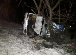 Мгновенная смерть на трассе: водитель врезался в дерево и скончался на месте