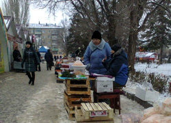 Камышанам рассказали, что они могут съесть по минимуму - на 5 тысяч рублей