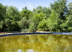 Не пора ли в городском парке Камышина вымыть "пруд" для аттракциона на воде? - камышанка