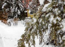 Синоптики велели камышанам приготовиться к крепким морозам: погода 14 января