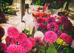 «Пусть учителя скинутся нам на профпраздники»: жители Волгоградской области отказываются поздравлять за свои деньги педагогов 