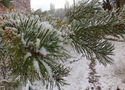 В Камышине опять похолодает до 10 градусов мороза