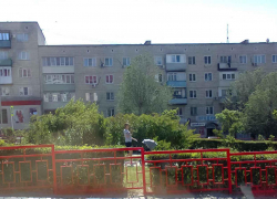 На Сиреневом бульваре в Камышине от сирени осталось только название, - камышанка