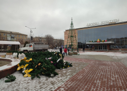 В Камышине начали сооружать елку у ДК "Текстильщик"