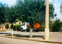 В Камышине службы благоустройства активизировали полив цветников водовозками