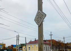 Что на дорожном знаке в Камышине, жираф? - камышанин