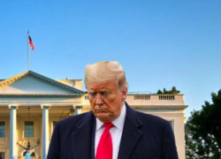 Лучше не затягивать: Трампу дали совет из-за неизбежной победы России, - "Блокнот - Россия"