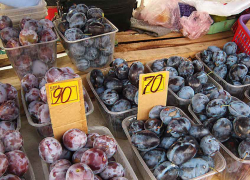 На камышинских рынках случился сливовый бум