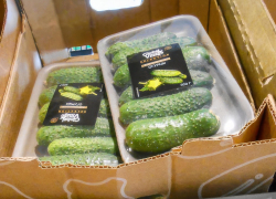 В Камышине в феврале огурцы в магазинах обогнали по цене бананы вдвое