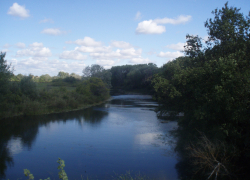 Рыбак утонул на Иловле в Камышинском районе на глазах своего друга