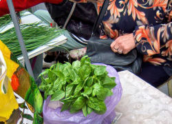 Немного вырастет минимальная сумма для выживания в Волгоградской области