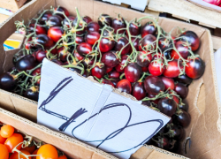 В Камышине на рынке появились черные помидоры-черри по "сумасшедшей" цене