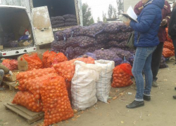 В Камышине в борьбе за покупателя продавцы овощей дают бесплатно пять картошек сварить на пробу 