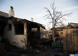 Ветка насмерть прибила селянина, запасавшего дрова, - "Блокнот Волгограда"