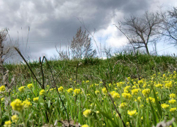 Рекорды тепла готовится устанавливать апрель в Волгоградской области