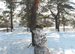 "Плюс", мокрый снег и ветер: погода в Камышине 4 марта