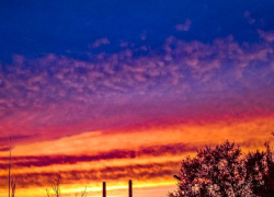 Андрей Бочаров:сообщил, что обломки БПЛА повредили электроподстанцию в Волгоградской области ночью 4 ноября