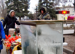 Морозным и ветреным будет воскресенье 10 декабря в Камышине