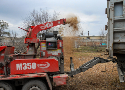 В Камышине муниципальное "Благоустройство" устроило на улице Текстильной переработку спиленных веток в "труху"