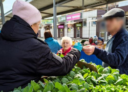Жителям Волгоградской области назвали главные схемы мошенников в 2026 году 