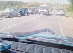 Почему людей из гигантской очереди за бензином в Жирновском районе пришлось увозить на "скорой" (ВИДЕО)