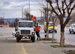 В Камышине рабочие "Благоустройства" никак не вывезут все обрезанные ветки с улиц