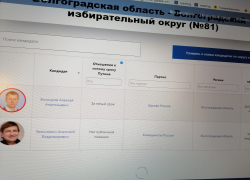 Кое-что об "амбициях" камышанина Анатолия Ярмоловича, заметных из... Лондона?